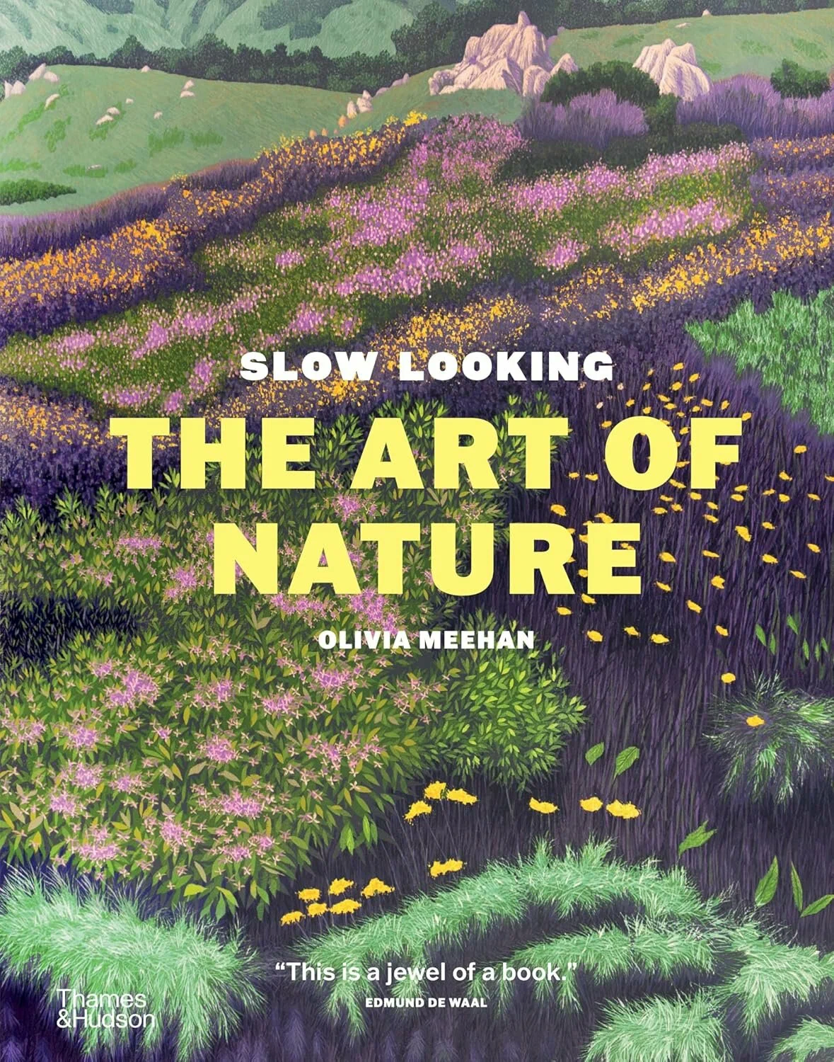 Slow Looking: The Art of Nature cover